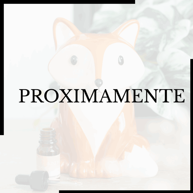 Quemadores para melts